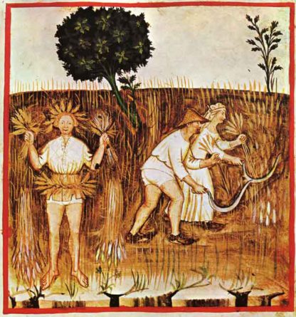 Estate, Ibn Buthlan di Baghdad,Tacuinum_Sanitatis_colorato e miniato da Giovannino de Grassi, 1390-1400