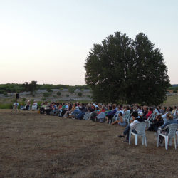 Conservatorio botanico, Alberi