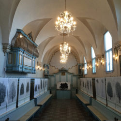 Allestimento nella Chiesa della Santissima Trinità