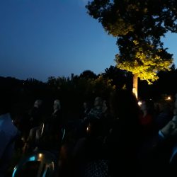 In ascolto nella Tenuta Santa Cecilia vigneti della Croara