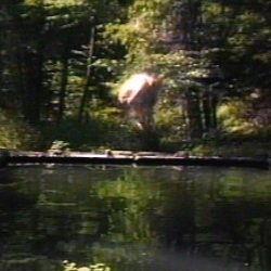 Bill Viola-The Reflecting Pool, 1977/1979