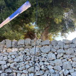 Le maniche a vento di Margherita Morgantin