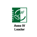 asse_leader