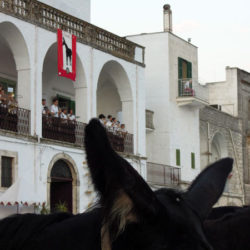 L’Orchestra di Fiati "Città di Cisternino" si esibisce dal balcone di Palazzo Amati