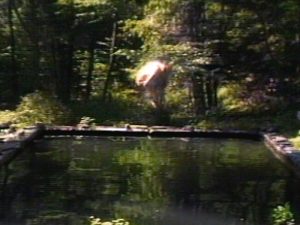 Bill Viola-The Reflecting Pool, 1977/1979