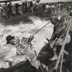 Pesca del tonno, luglio 1965 - Archivio Storico Touring Club Italiano (Mostra "Homo faber: l'intelligenza della mano")